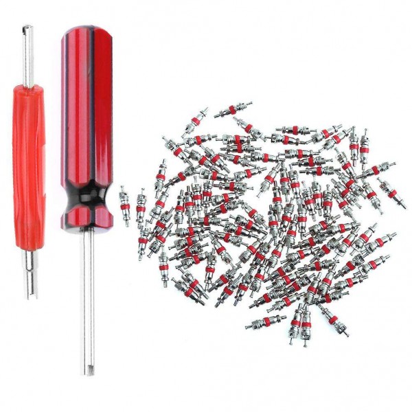 100pcs Car Motorcycle Bicycle Tire Schrader Valve Cores+ 2 Remover Tools